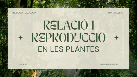 RELACIO-DE-LES-PLANTES.pdf