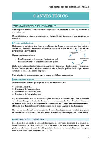 4.-CANVIS-FISICS.pdf