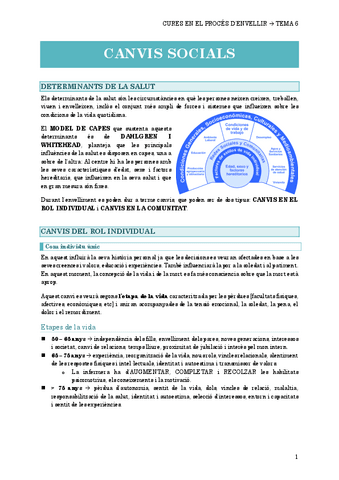 6.-CANVIS-SOCIALS.pdf