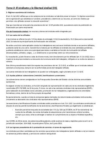 Tema-4-El-sindicato-y-la-libertad-sindical-III.pdf