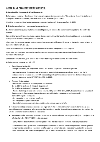 Tema-6-La-representacion-unitaria.pdf