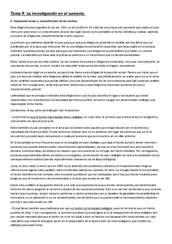 Tema-9-La-investigacion-en-el-sumario.pdf