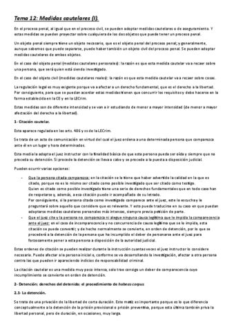 Tema-12-Medidas-cautelares-I.pdf