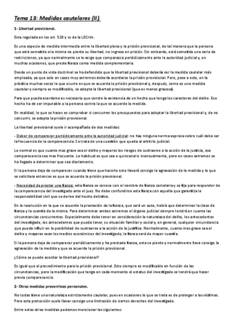 Tema-13-Medidas-cautelares-II.pdf