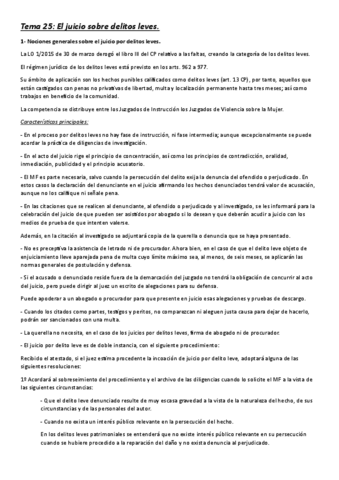 Tema-25-El-juicio-sobre-delitos-leves.pdf