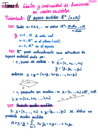 DFVV-TEMA-1-Cepedellos.pdf