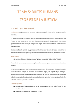 5. Drets humans i teories de la justicia.pdf