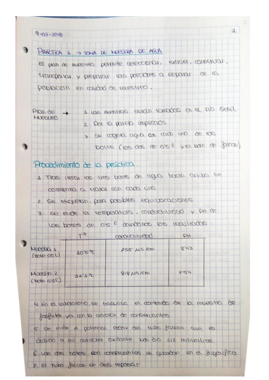 PRÁCTICAS TECNICAS INSTRUMENTALES.pdf