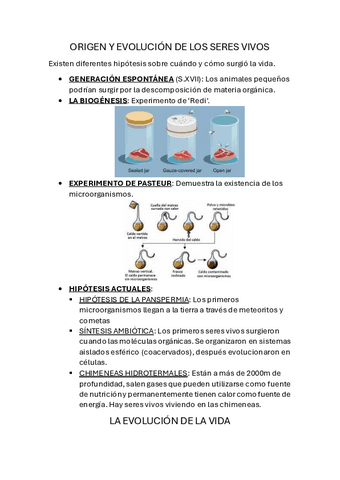 ORIGEN-Y-EVOLUCION-DE-LOS-SERES-VIVOS.pdf