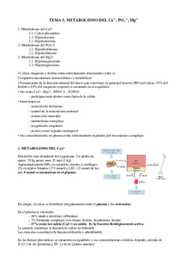 T5 bq cl.pdf