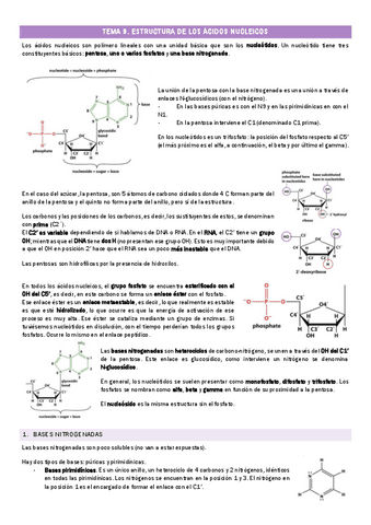 TEMA-9.-Estructura-de-los-acidos-nucleicos.pdf