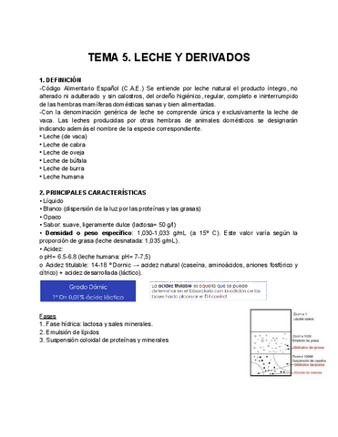 TEMA-5.-LECHE-Y-DERIVADOS.pdf