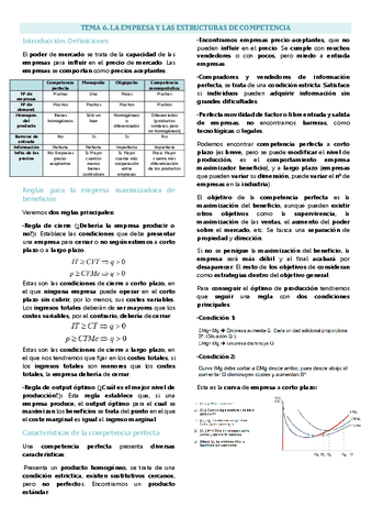 Tema 6 empresa, la empresa y las estructuras de competencia.pdf