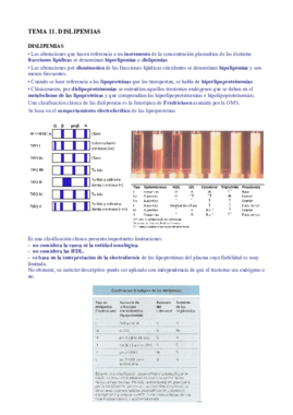 T11 bq cl.pdf