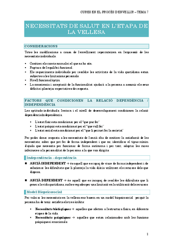 7.-NECESSITATS-DE-SALUT-EN-lANCIA.pdf