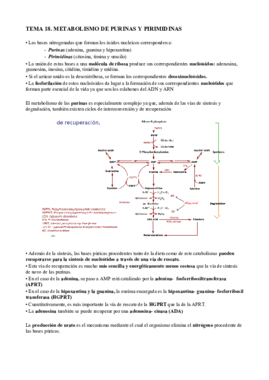 t18 bq cl.pdf