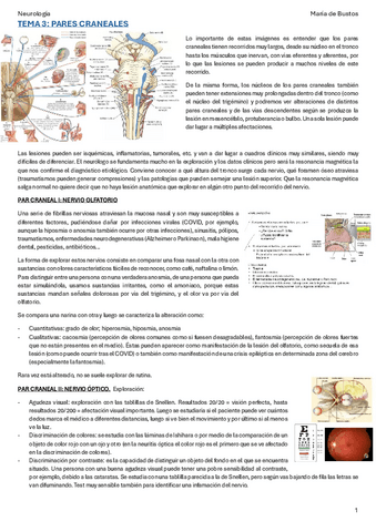 TEMA-3-Pares-Craneales.pdf