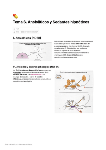 Tema-6-Ansioliticos-y-Sedantes-hipnoticos.pdf