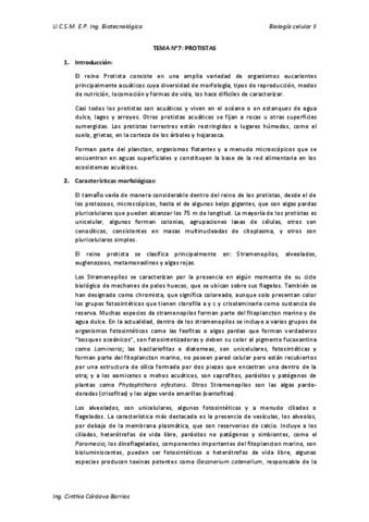 TEMA-N7-PROTISTAS.pdf