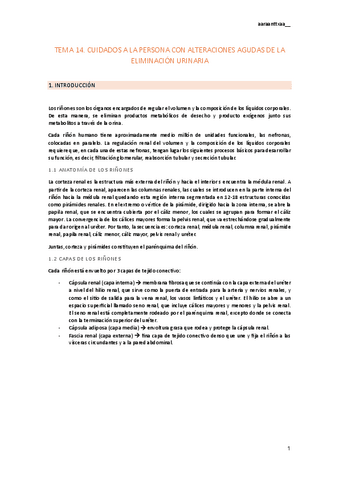 tema-14.pdf