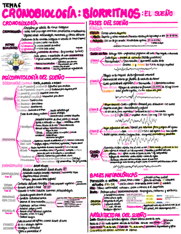 T6-Cronobiologia-los-biorritmos-el-sueno.pdf