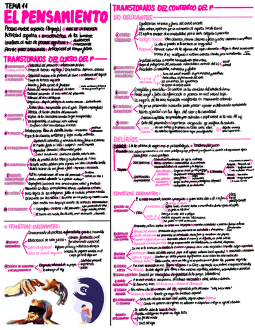 T11-El-Pensamiento.pdf