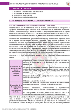 5. LA LIBERTAD SINDICAL.pdf