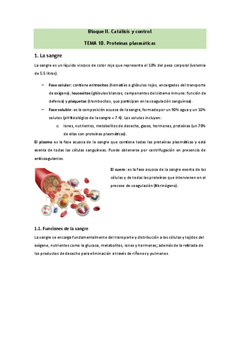 Bioquimica-Tema-10.pdf