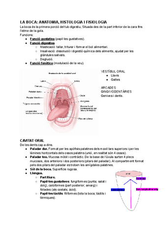 LA-BOCA-ANATOMIA-HISTOLOGIA-I-FISIOLOGIA.pdf