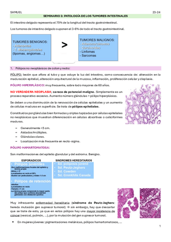 SEMINARIO-3.pdf
