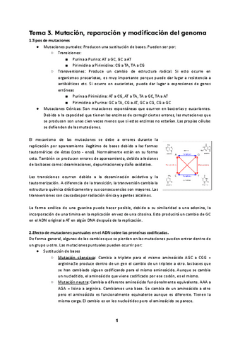 T3-BM.pdf