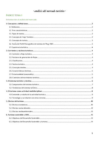 analisis-del-mercado-turistico-t.-1.-Introduccion-al-analisis-del-mercado.pdf