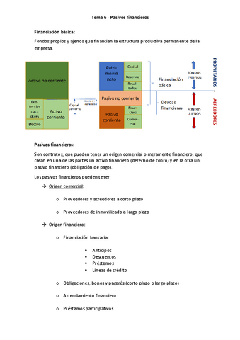 Tema-6-Pasivos-financieros.pdf