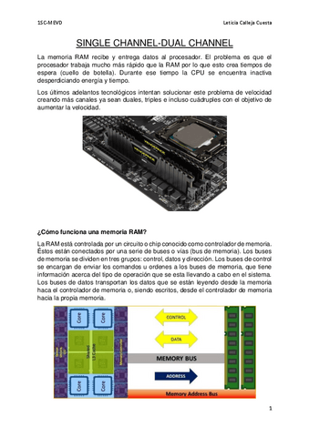 SINGLEvsDUALCHANNEL.pdf