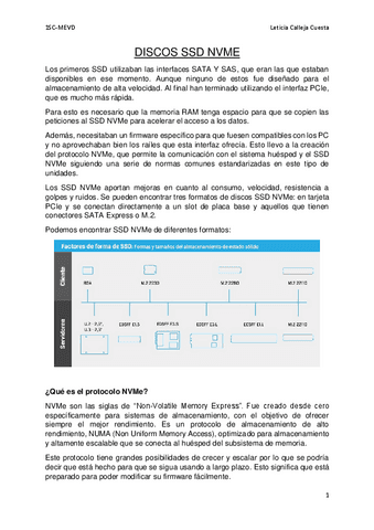 MEVDSSDNVMe.pdf