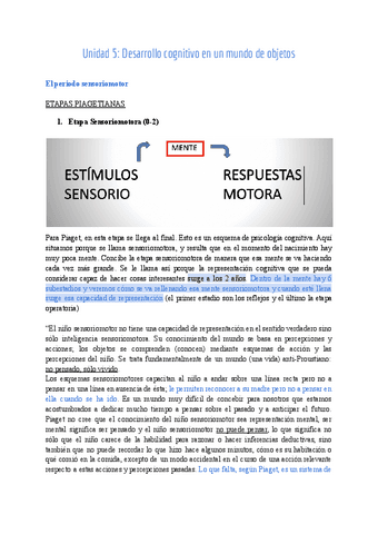 Unidad-5-Desarrollo-cognitivo-en-un-mundo-de-objetos-1.pdf