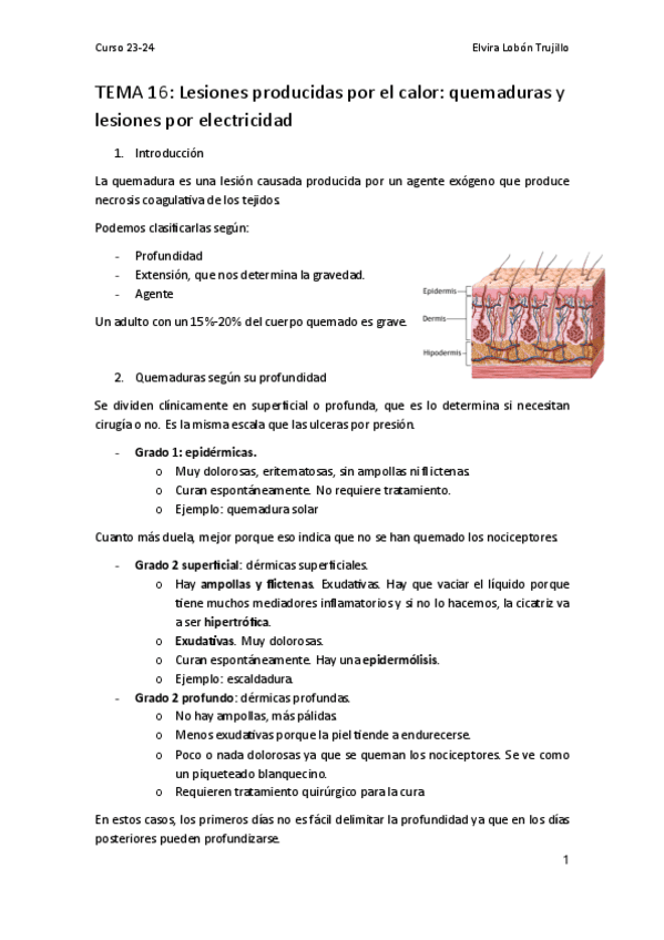 Tema 17-Lesiones-por-quemaduras-23-24.pdf