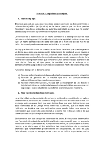 Tema-20-la-Tipicidad.pdf