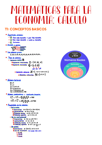 T1-Conceptos-basicos..pdf