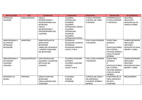 TABLA ARTICULACIONES TEMA 24 Pdf