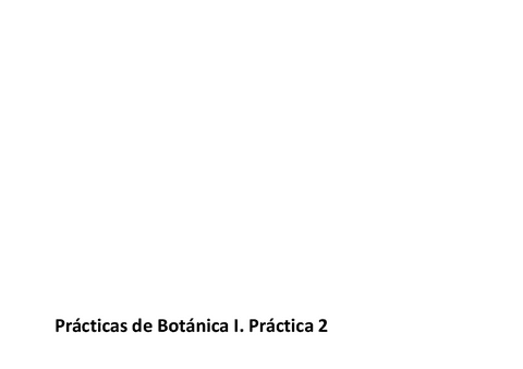 Fundamento-teorico-Hongos-I.pdf