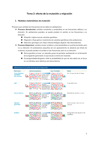 Tema-2-efecto-de-la-mutacion-y-migracion.pdf