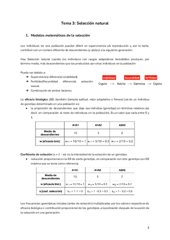 Tema-3-Seleccion-natural.pdf