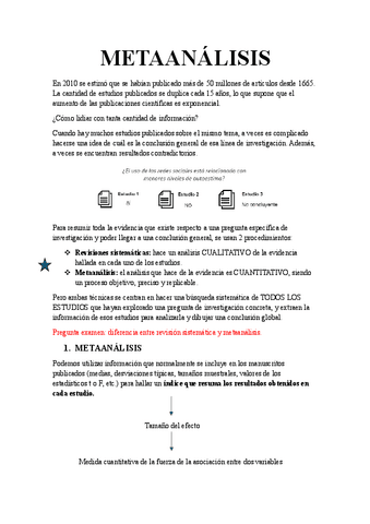 METAANALISIS.pdf