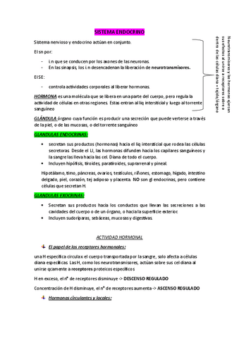 SISTEMA-ENDOCRINOJ.pdf