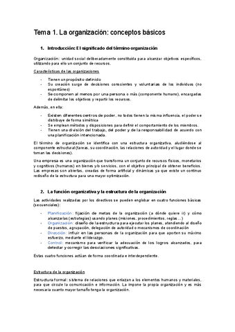 Tema 1. La organización.pdf
