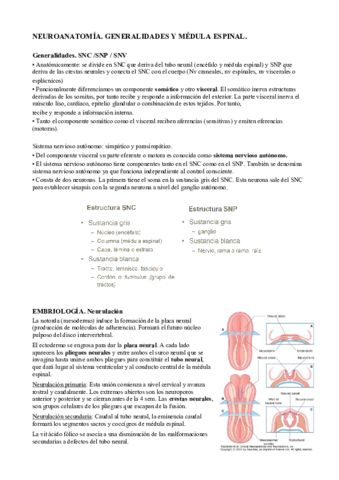 1. Neuro. Generalidades y M. Espinal.pdf