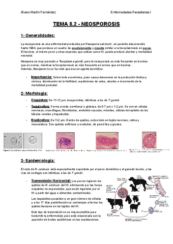 TEMA-8.2-NEOSPOROSIS.pdf