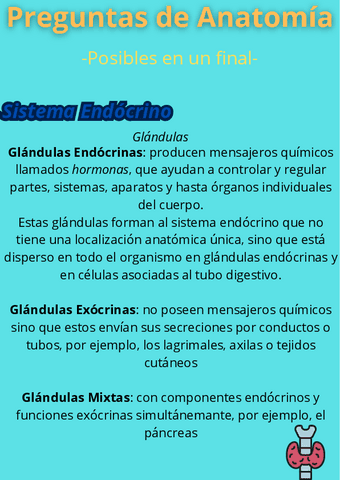 Posibles-Preguntas-de-Anatomia-4-Final-Sistema-Endocrino.pdf