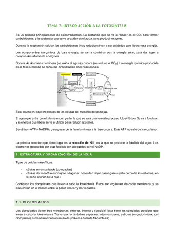 tema-7.pdf